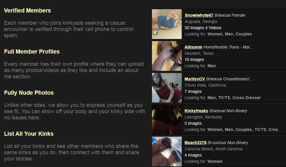 Kinkyads Review: Costs, Pros, Cons and Special Features